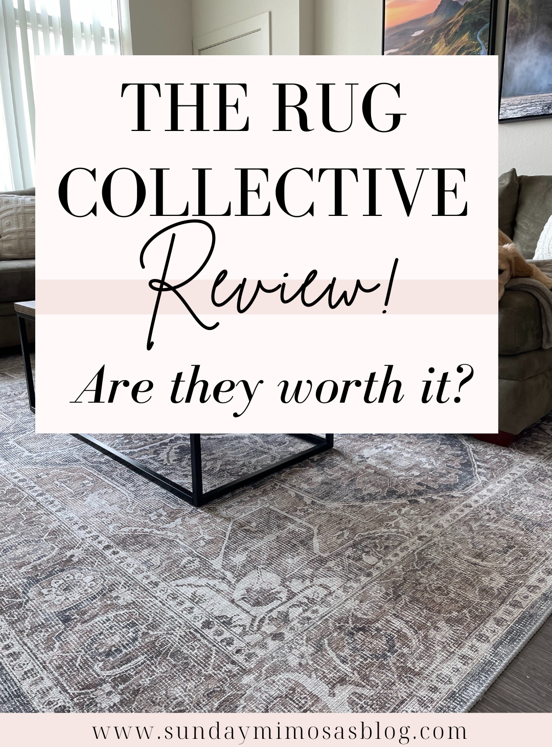 The Rug Collective Review – Best Liquid Proof, Washable Rug - Sunday Mimosas