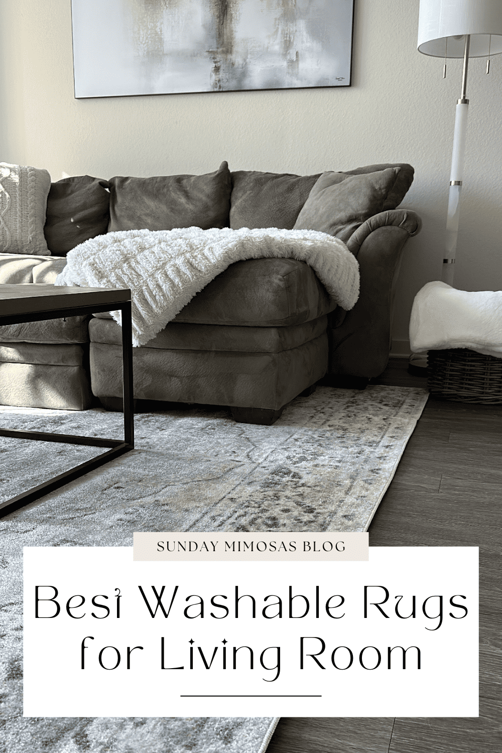 https://sundaymimosasblog.com/wp-content/uploads/2023/09/Boutique-Rugs-Washable-Rugs-for-Living-Room.png